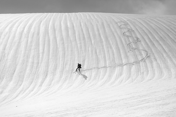 Picture of SNOW WAVE SURFING