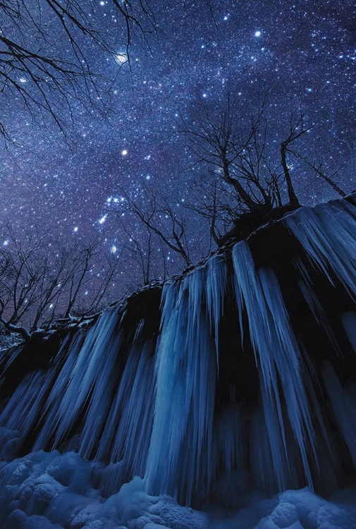 Picture of FREEZING COLD NIGHT