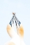 Picture of GANNETS IN LOVE