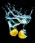Picture of SPLASH