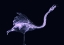 Picture of SILVER FLAMINGO