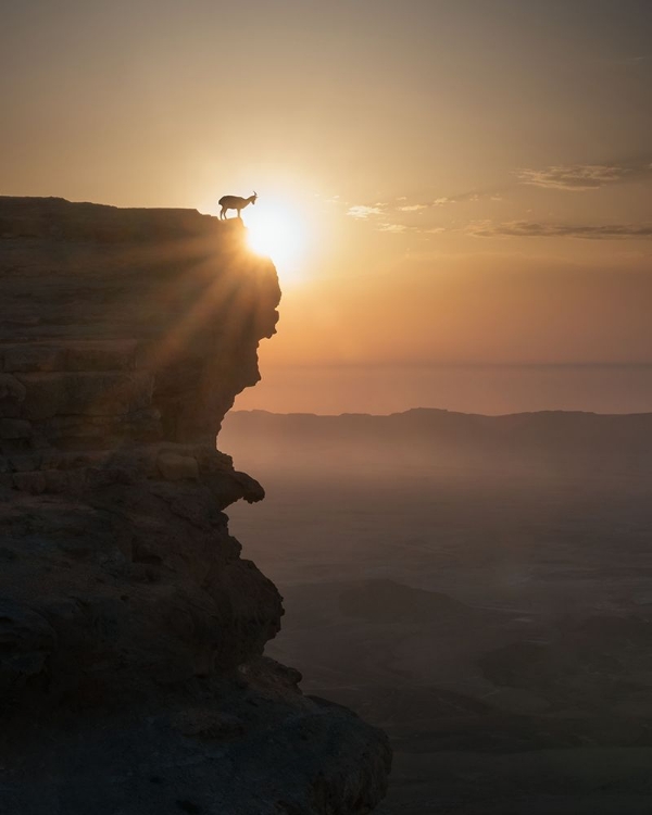 Picture of DESERT SUNRISE