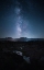 Picture of RESTLESS NIGHT