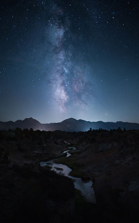 Picture of RESTLESS NIGHT