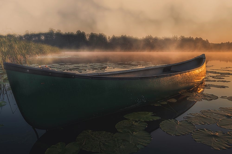 Picture of THE BOAT