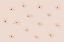 Picture of NAIVE FLOWERS