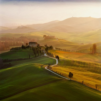 Picture of VAL D ORCIA