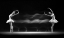 Picture of DOUBLE POSE