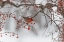 Picture of NIHONGA
