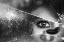 Picture of FACE OF PIECES