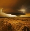 Picture of SPAETSOMMER STIMMUNG