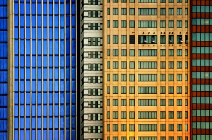 Picture of WINDOWS ON THE CITY