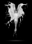Picture of CREME DE LE CREME