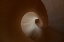 Picture of SPIRAL