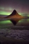 Picture of PORTRAIT OF THE GEMINIDS
