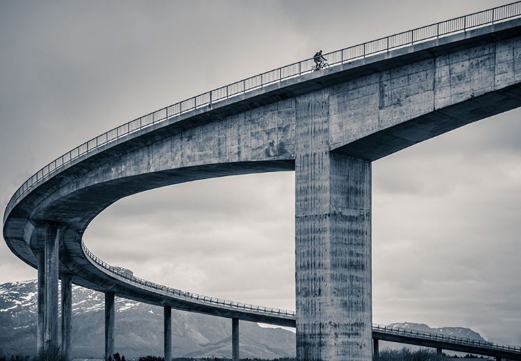 Picture of THE LONELY BIKER