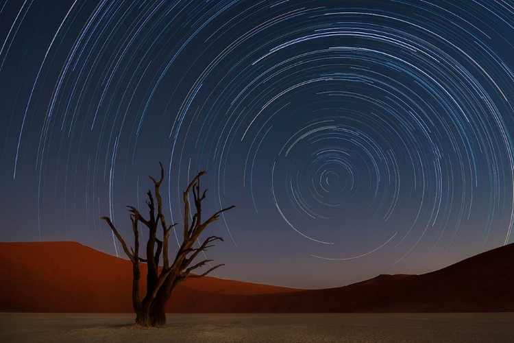 Picture of STAR TRAILS OF NAMIBIA