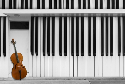 Picture of CELLO AT THE DOOR