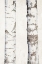 Picture of BIRCHES 3