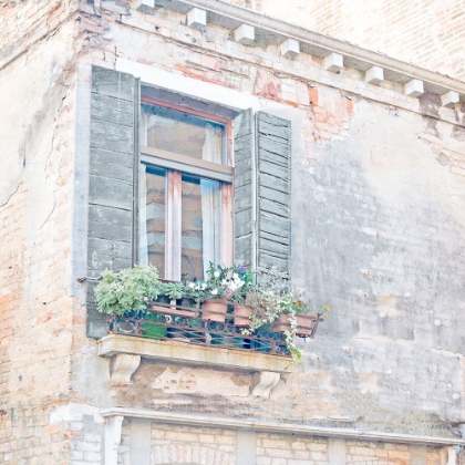 Picture of WINDOW BOXWINDOW BOX