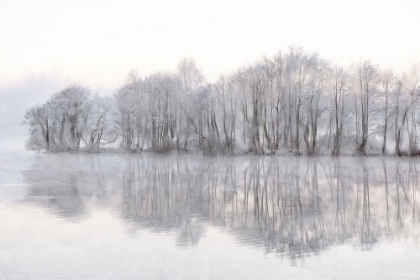 Picture of MIST LAKE