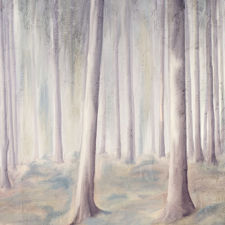 Picture of FOREST DREAMS 1