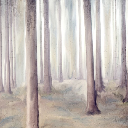 Picture of FOREST DREAMS 2