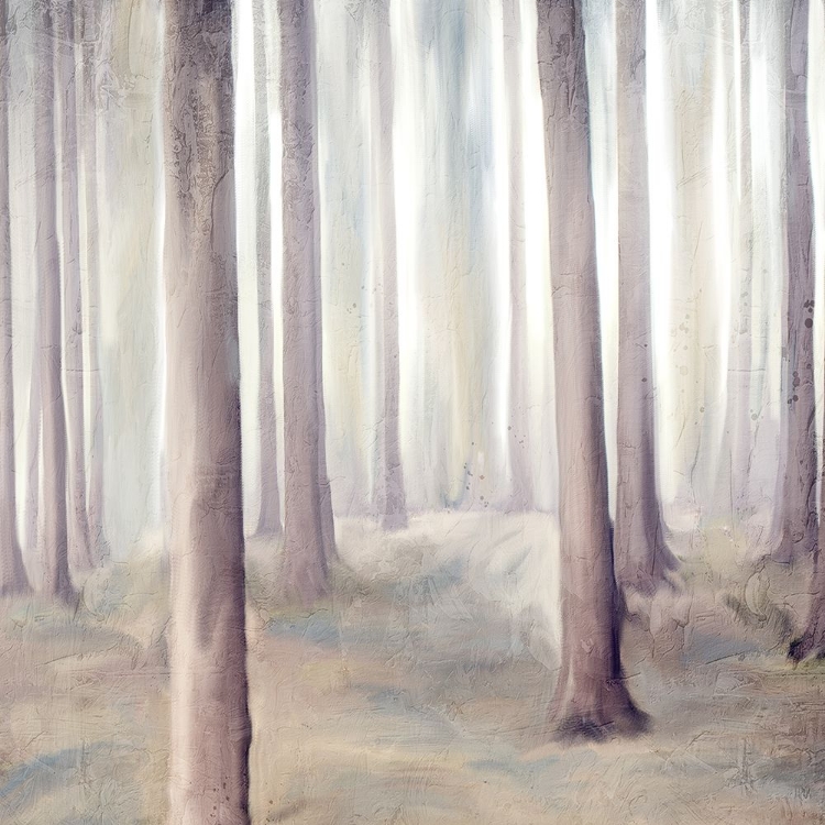 Picture of FOREST DREAMS 2