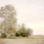 Picture of COUNTRYSIDE