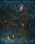 Picture of MIDSUMMER NIGHTS DREAM