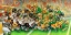 Picture of FOOTBALL DOGS