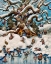 Picture of THE SNOW FAIRIES