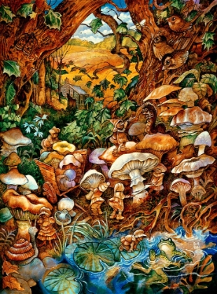 Picture of THE MUSHROOM FAIRIES