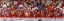 Picture of HOCKEY MUTTS