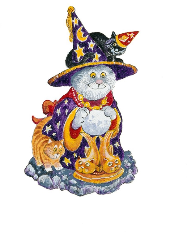 Picture of WITCH CAT