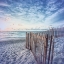 Picture of DAYBREAK ON THE DUNES PALE BLUES IN SQUARE