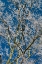 Picture of ICE STORM BRANCHES
