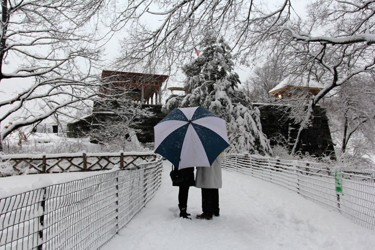 Picture of CENTRAL PARK COUPLE IN THE SNOW