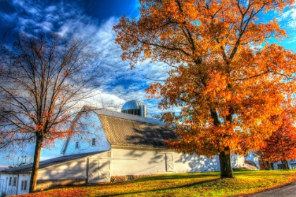 Picture of AUTUMN BARNS
