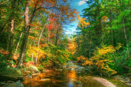 Picture of AUTUMN BROOK