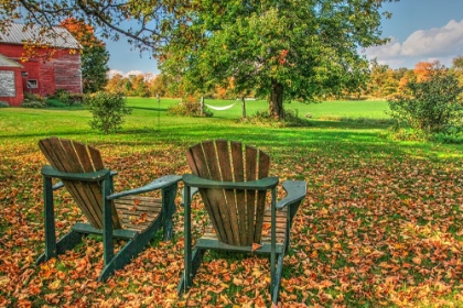 Picture of BARNYARD CHAIRS