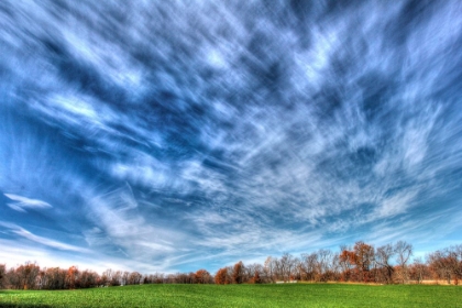 Picture of FIELD AND SKY AUTUMN