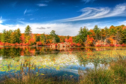 Picture of HARRIMAN POND