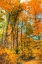 Picture of INWOOD PARK VERTICAL
