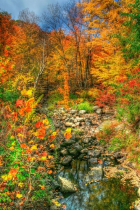 Picture of LOW WATER BROOK AUTUMN