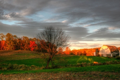 Picture of THE NEIGHBORS BARN SUNSET