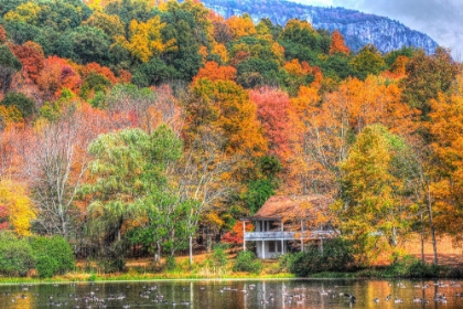 Picture of TILLSON LAKE