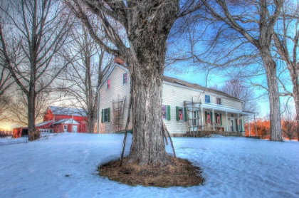 Picture of WINTER FARM