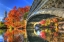 Picture of BOW BRIDGE