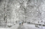 Picture of RIVERSIDE PARK SNOW WALK